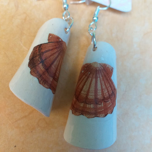 Ceramic bead earrings with shells!